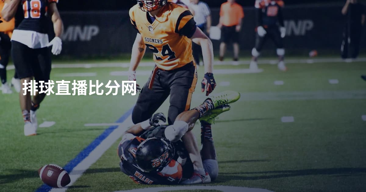 排球直播比分网