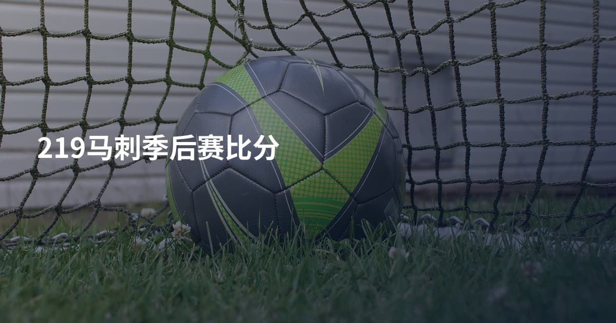 219马刺季后赛比分