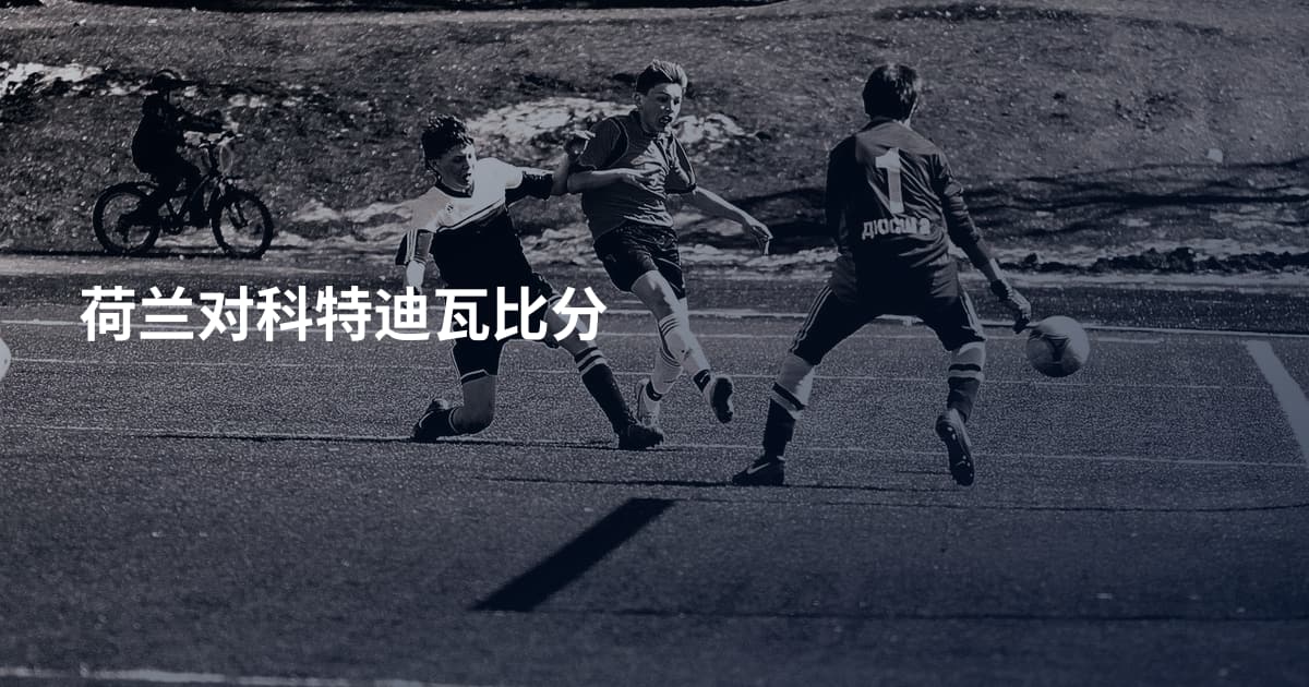 荷兰对科特迪瓦比分