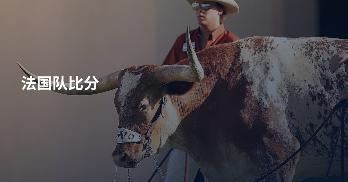 法国队比分