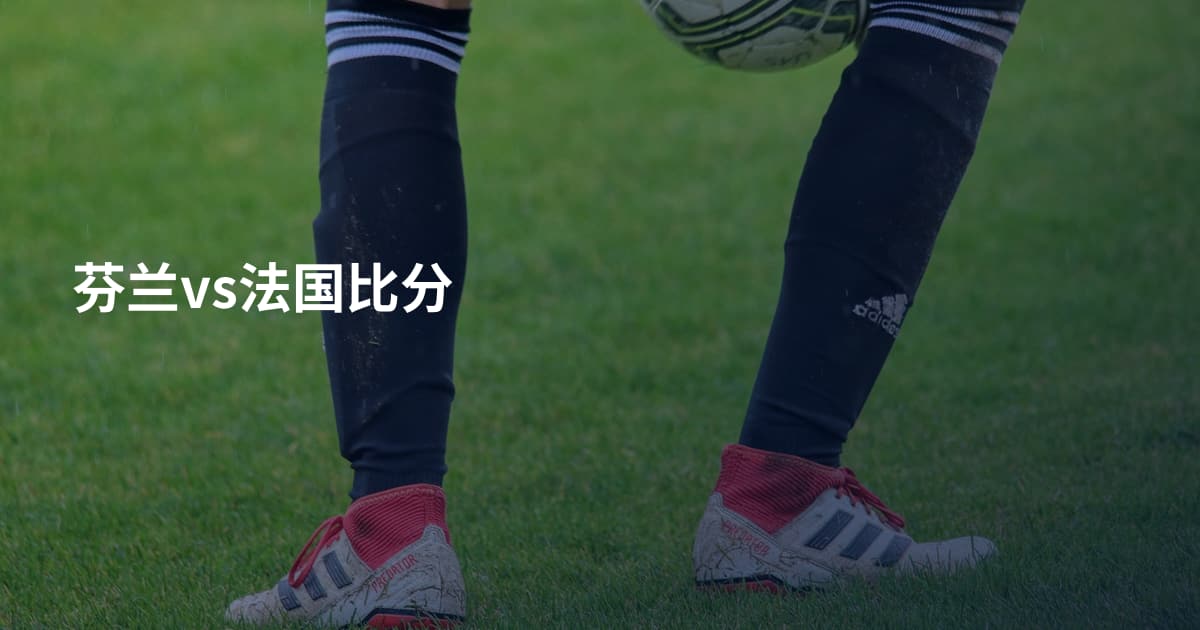 芬兰vs法国比分