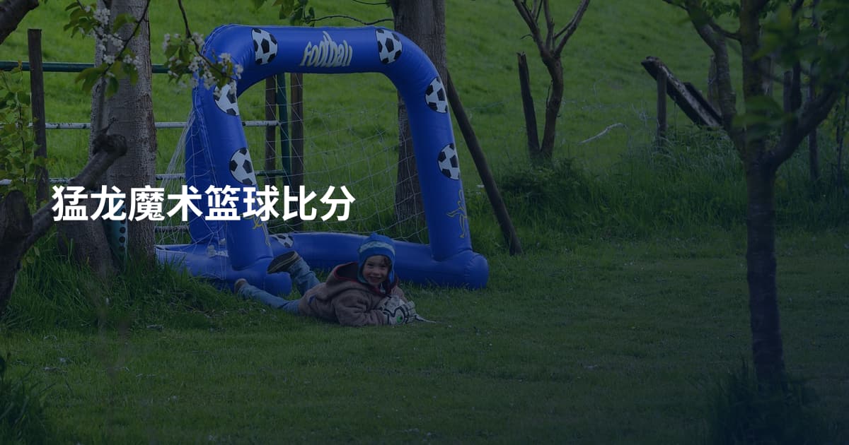 猛龙魔术篮球比分