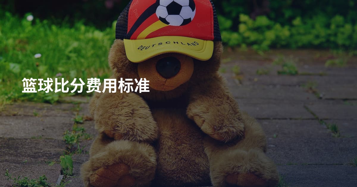 篮球比分费用标准