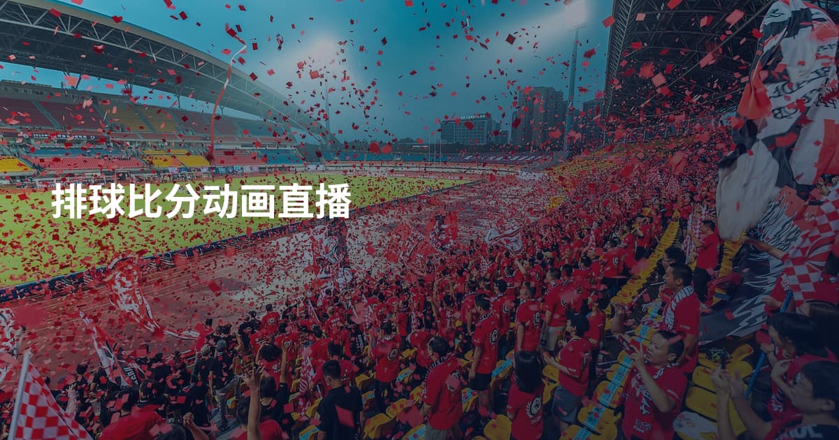 排球比分动画直播
