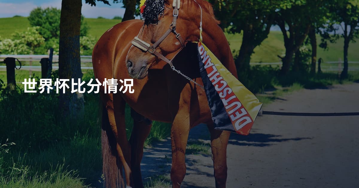 世界怀比分情况