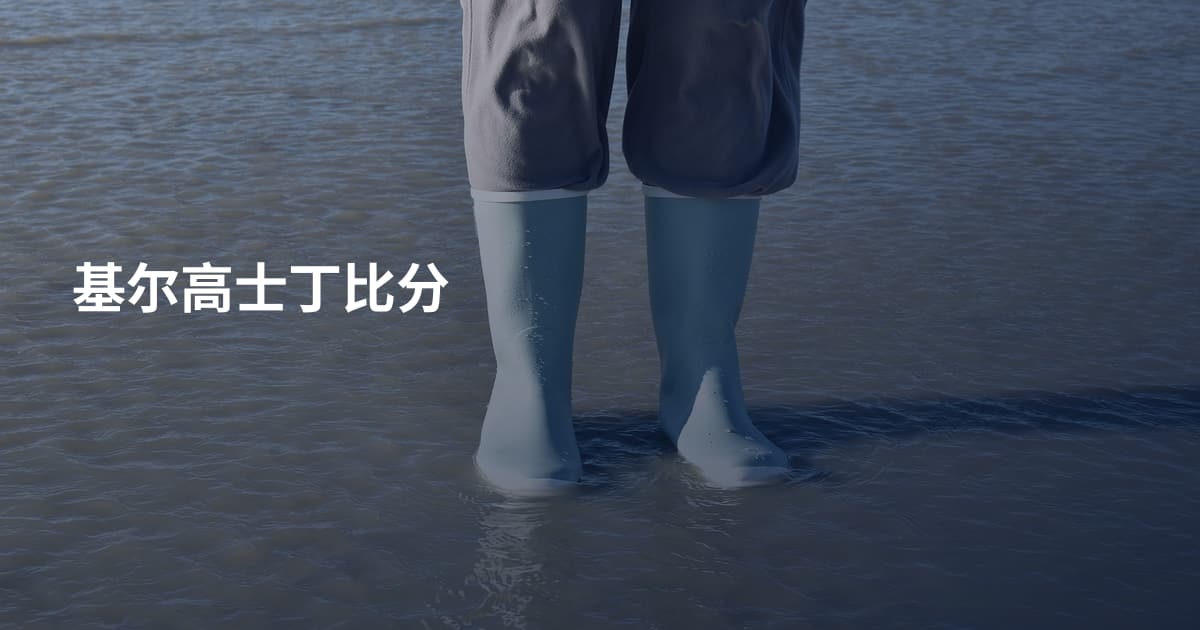 基尔高士丁比分