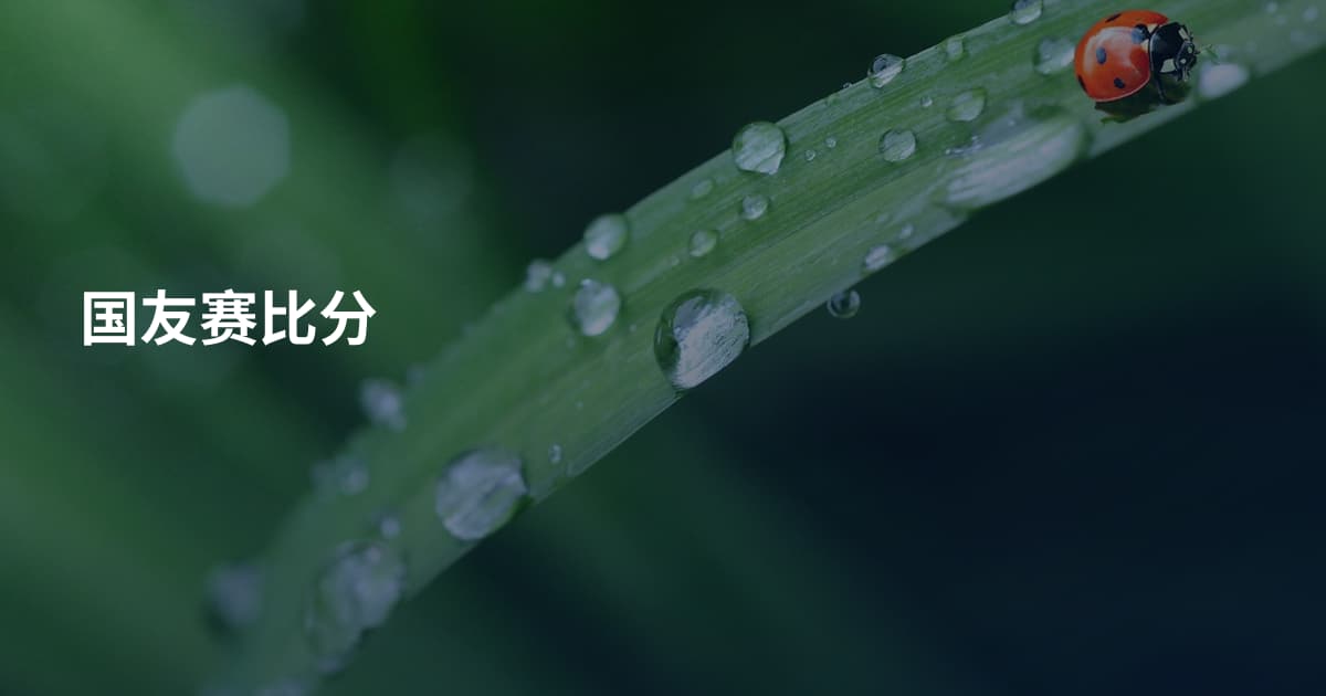 国友赛比分