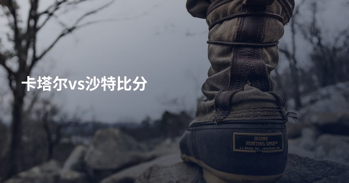卡塔尔vs沙特比分