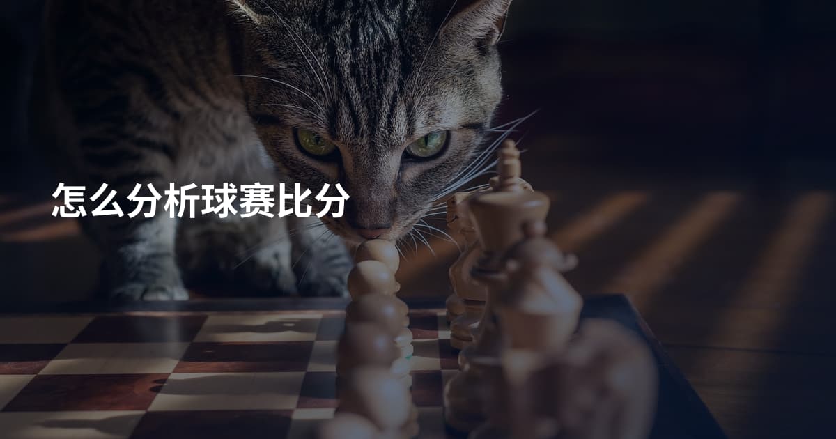 怎么分析球赛比分