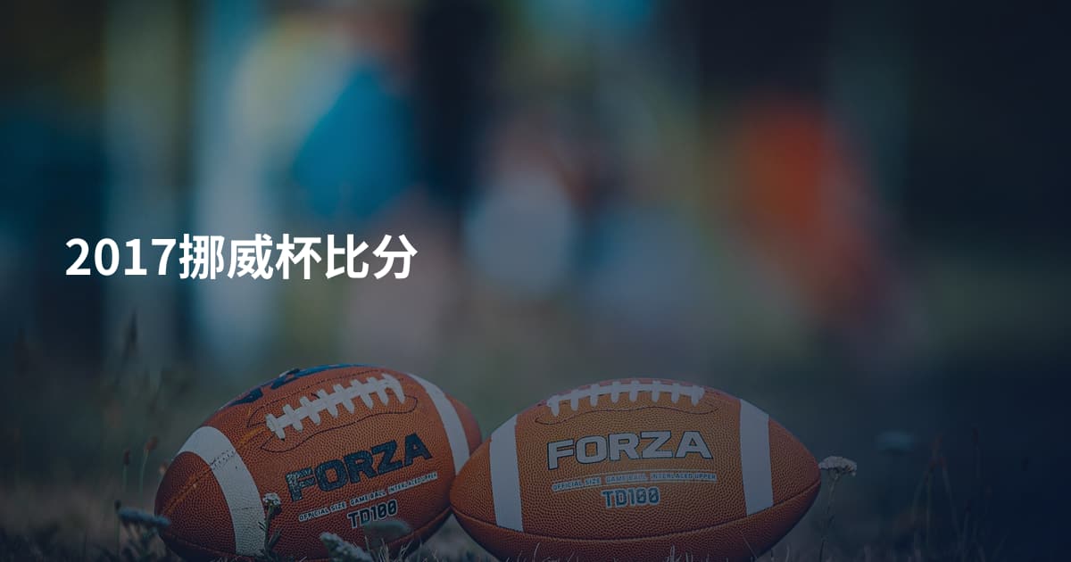 2017挪威杯比分