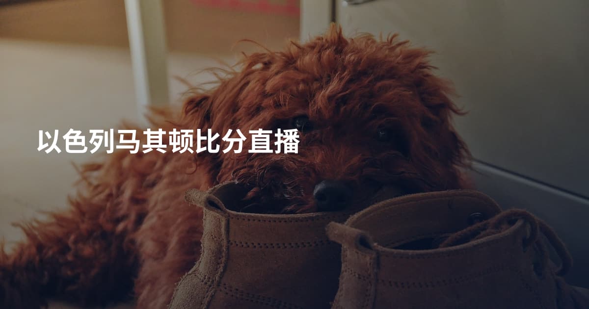 以色列马其顿比分直播