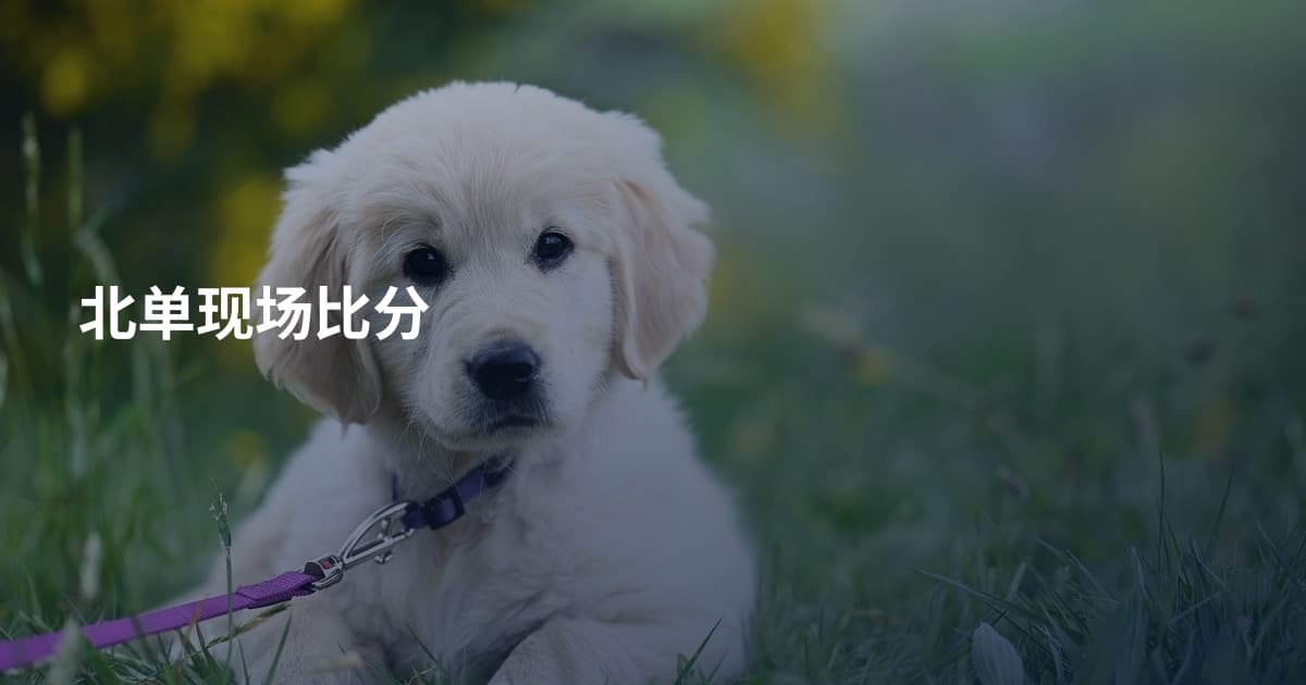 北单现场比分