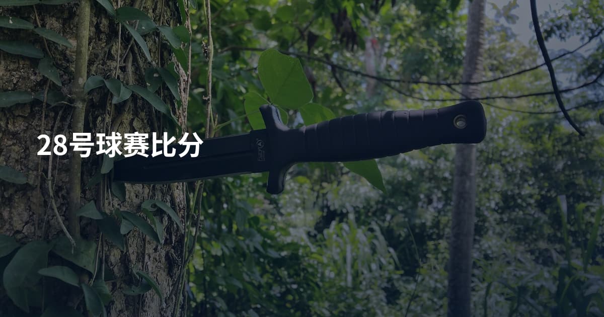 28号球赛比分