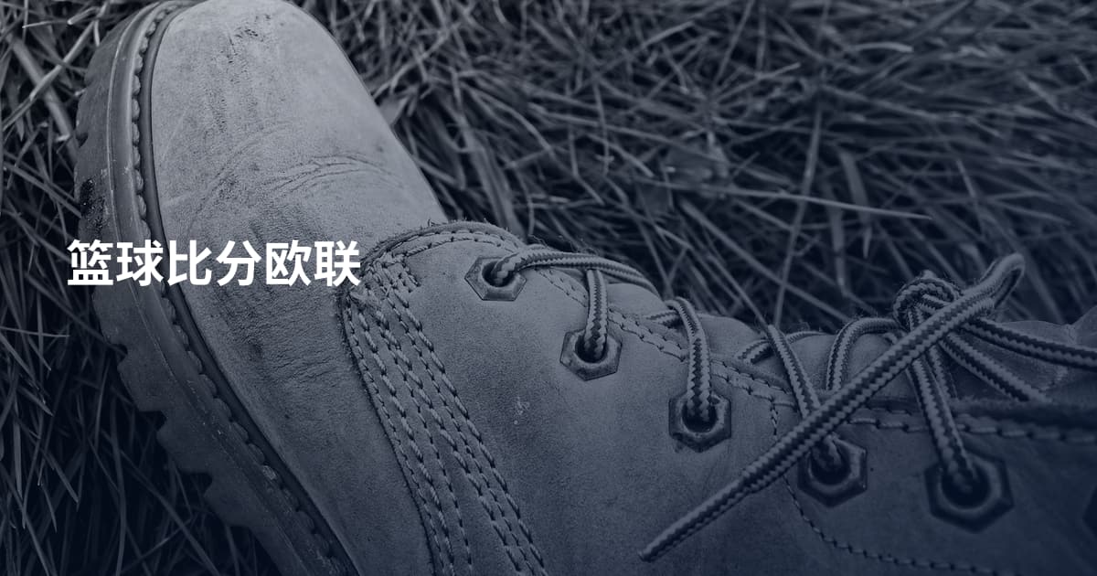 篮球比分欧联