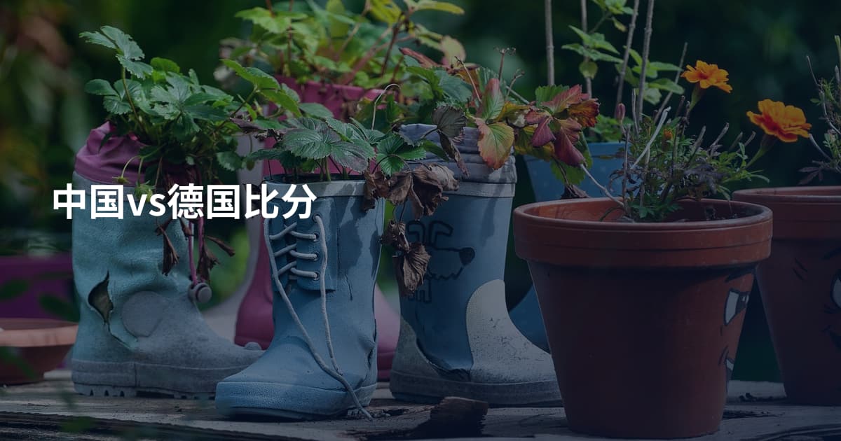中国vs德国比分
