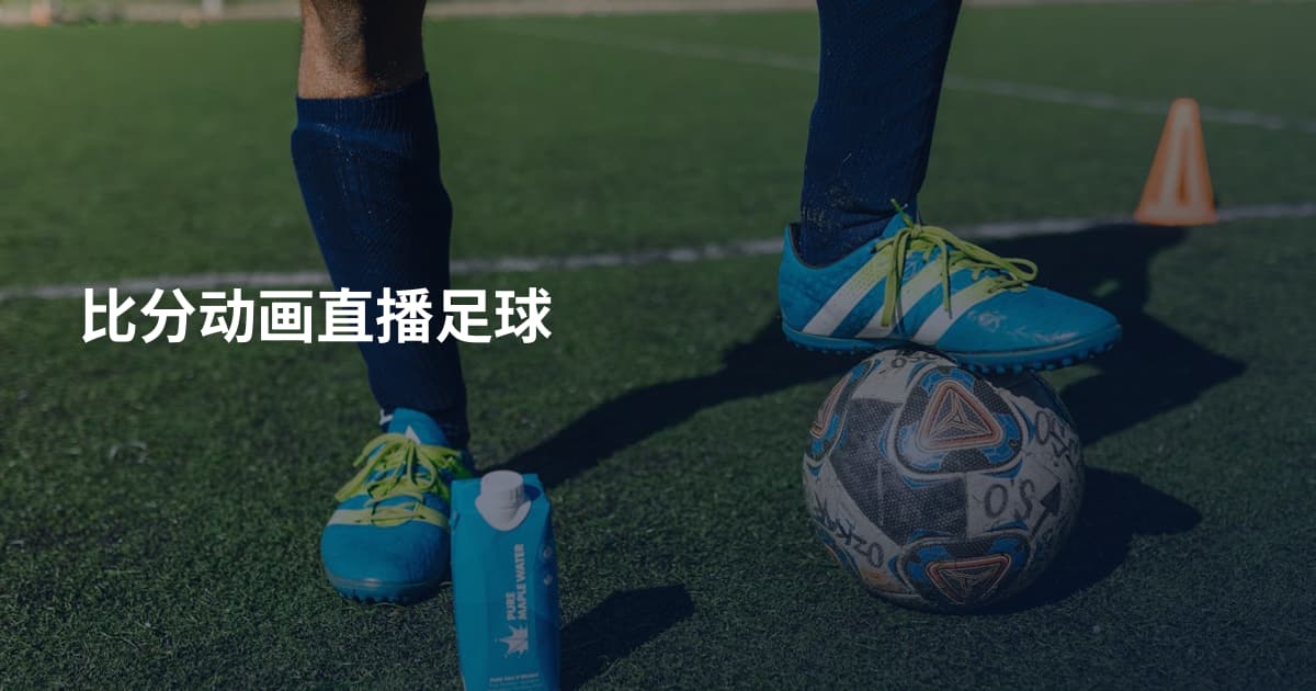 比分动画直播足球