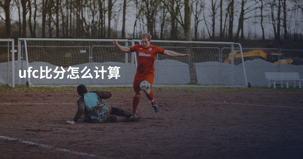 ufc比分怎么计算