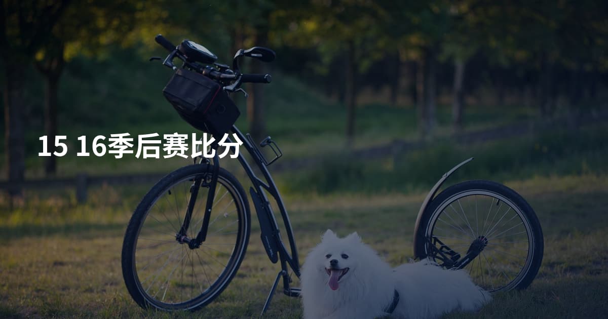 15 16季后赛比分