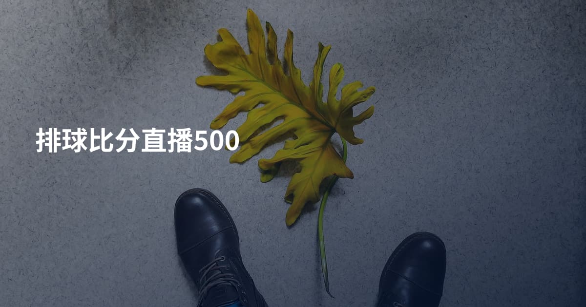 排球比分直播500