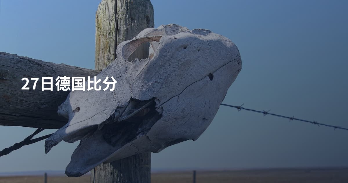 27日德国比分