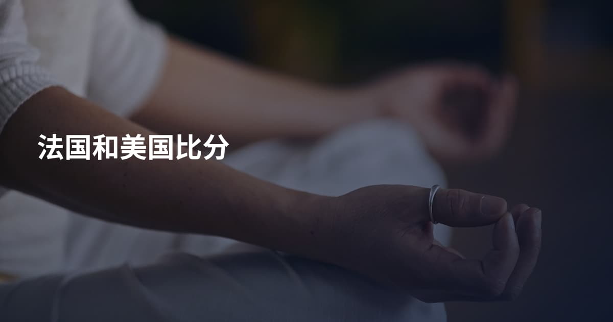 法国和美国比分