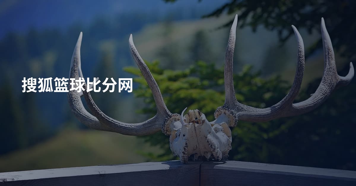 搜狐篮球比分网