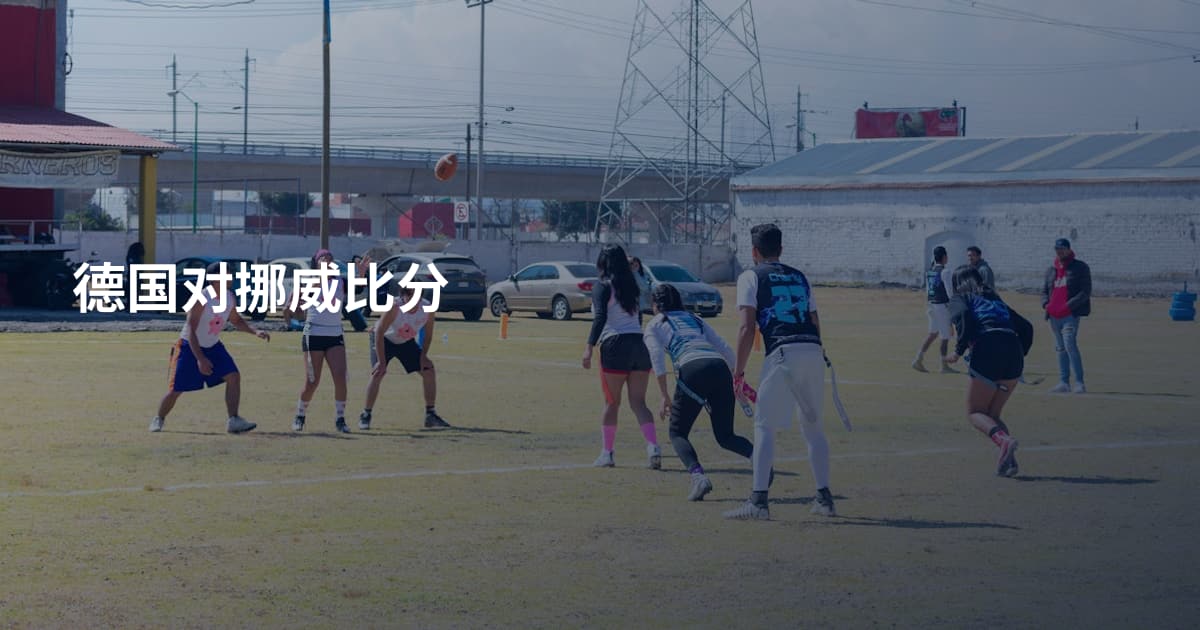 德国对挪威比分
