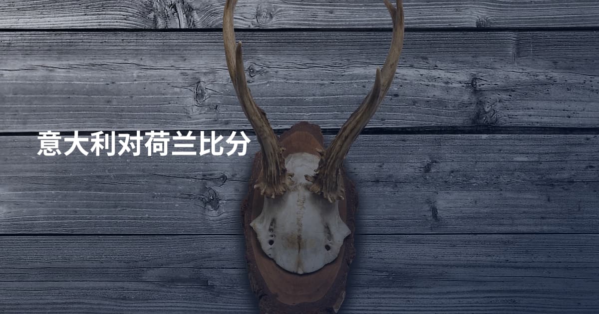 意大利对荷兰比分
