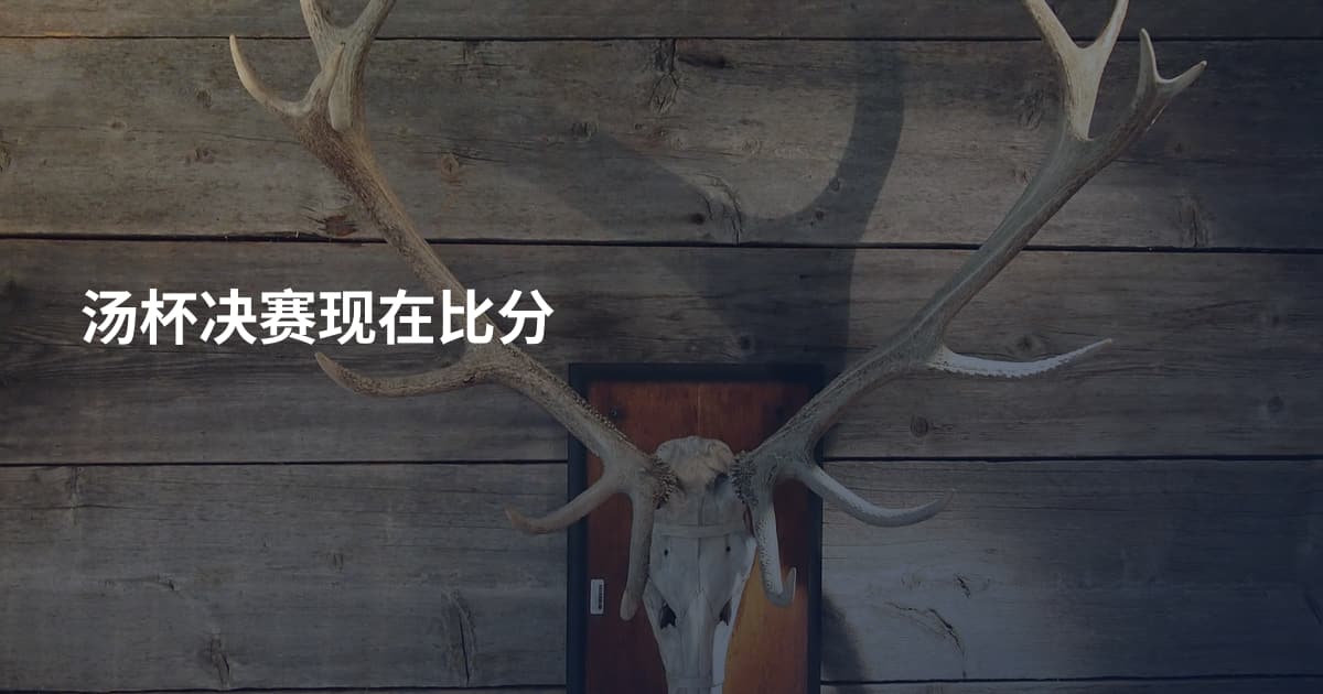 汤杯决赛现在比分