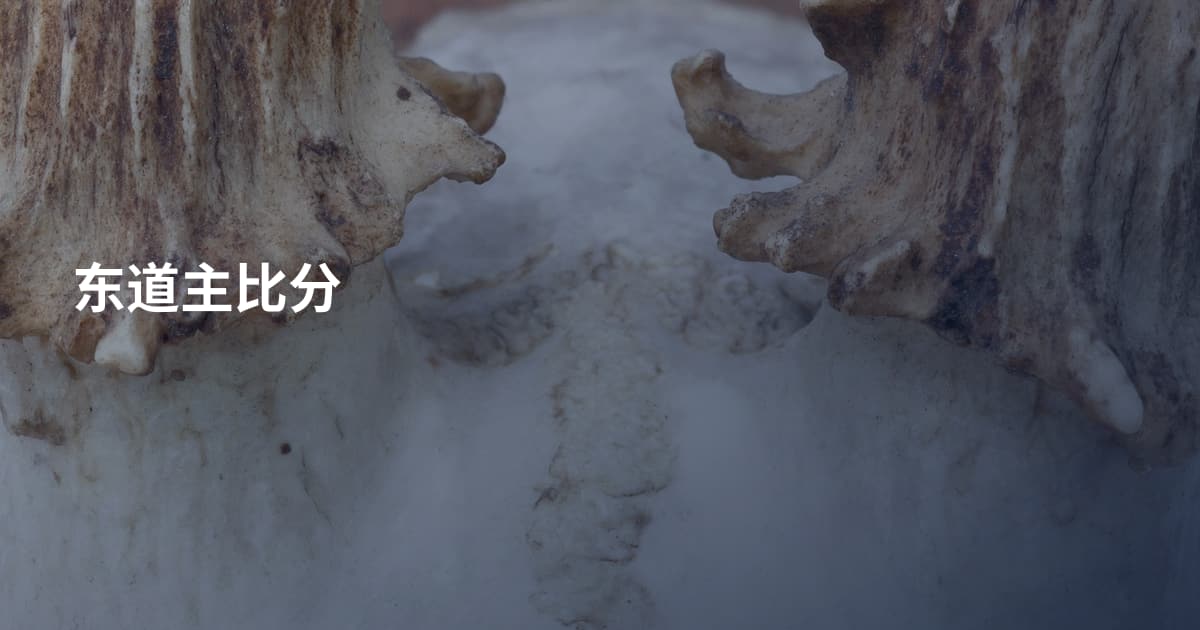 东道主比分