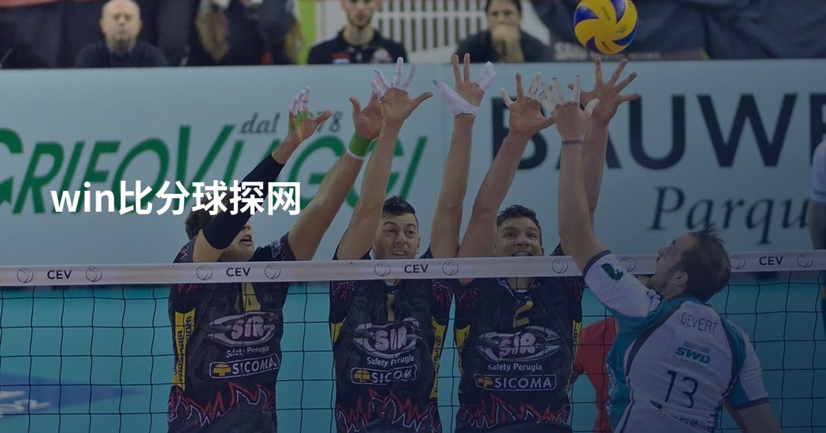 win比分球探网
