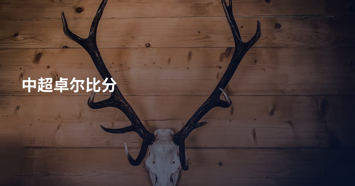 中超卓尔比分