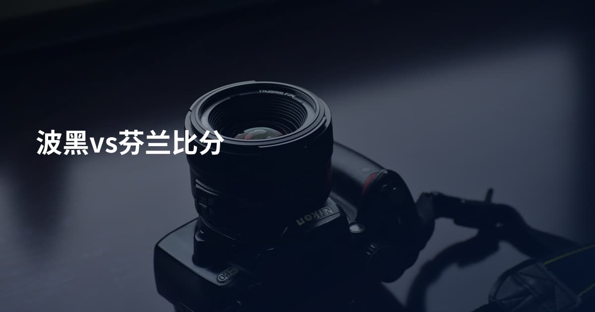 波黑vs芬兰比分
