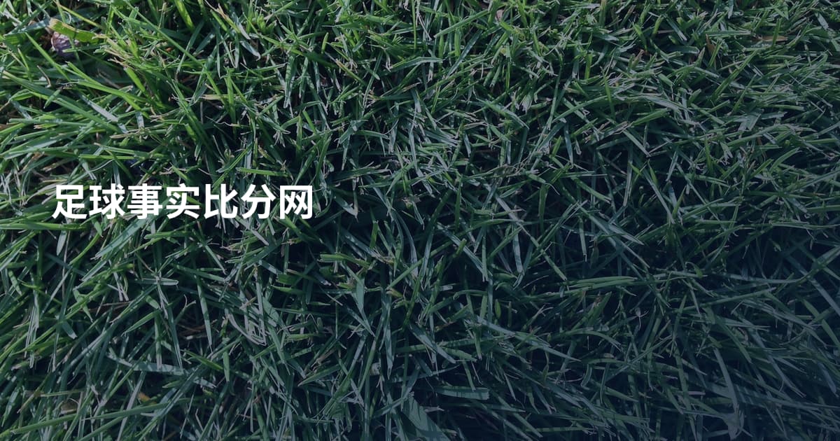 足球事实比分网