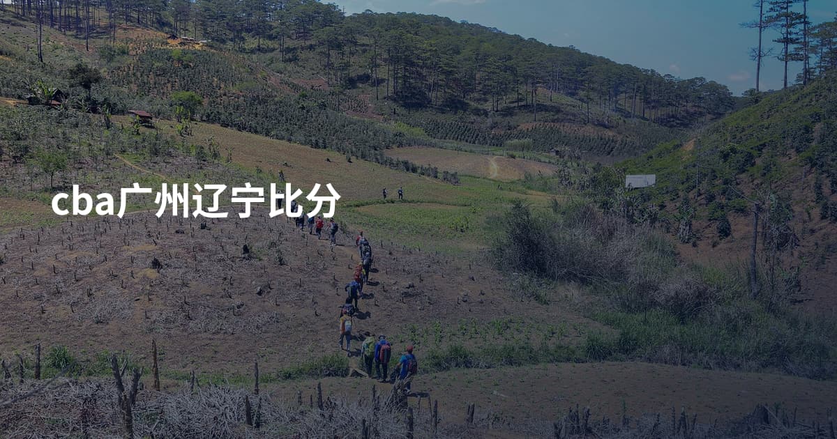 cba广州辽宁比分