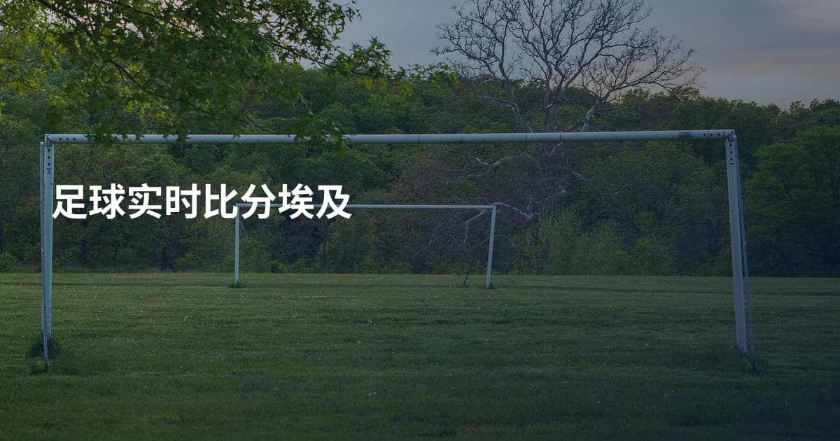 足球实时比分埃及