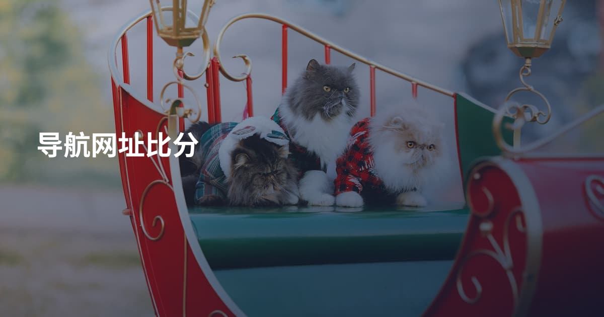 导航网址比分