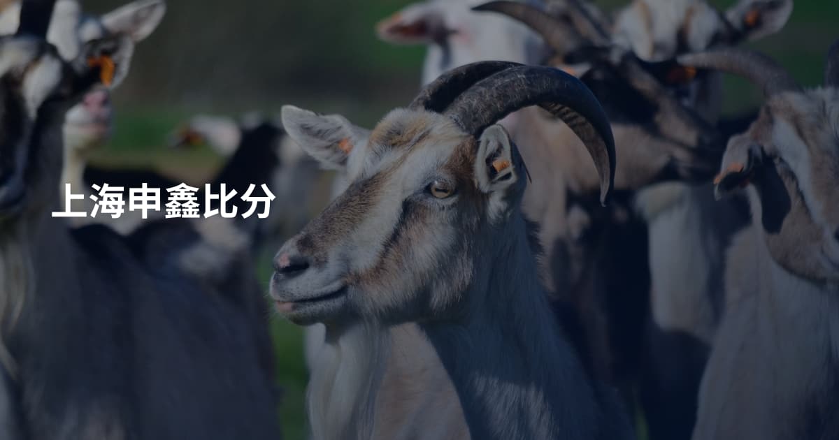 上海申鑫比分