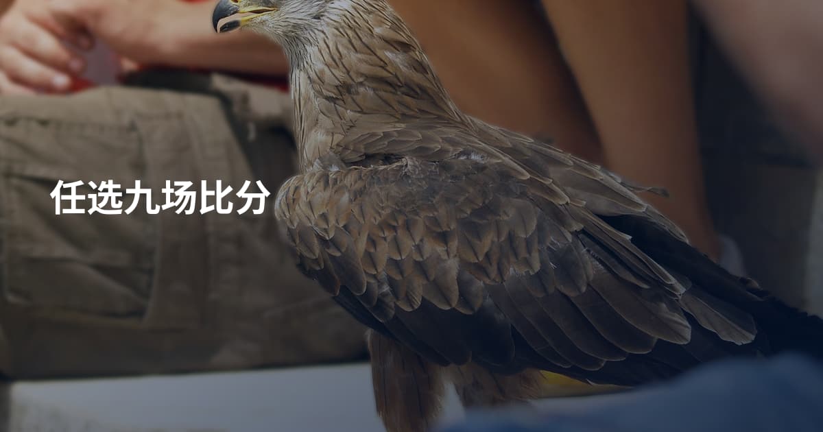 任选九场比分