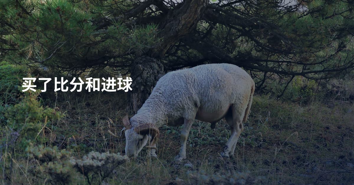 买了比分和进球