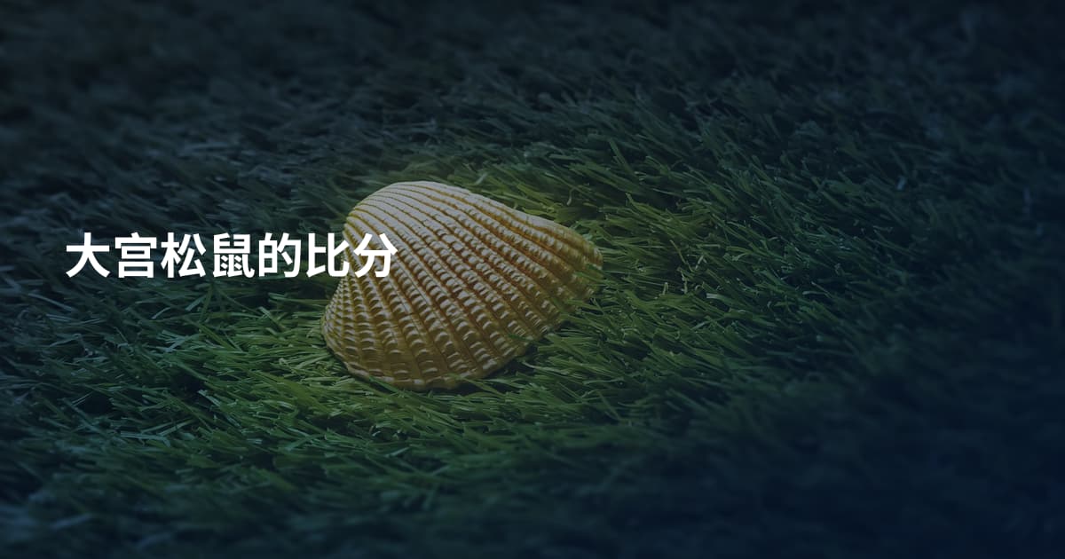 大宫松鼠的比分