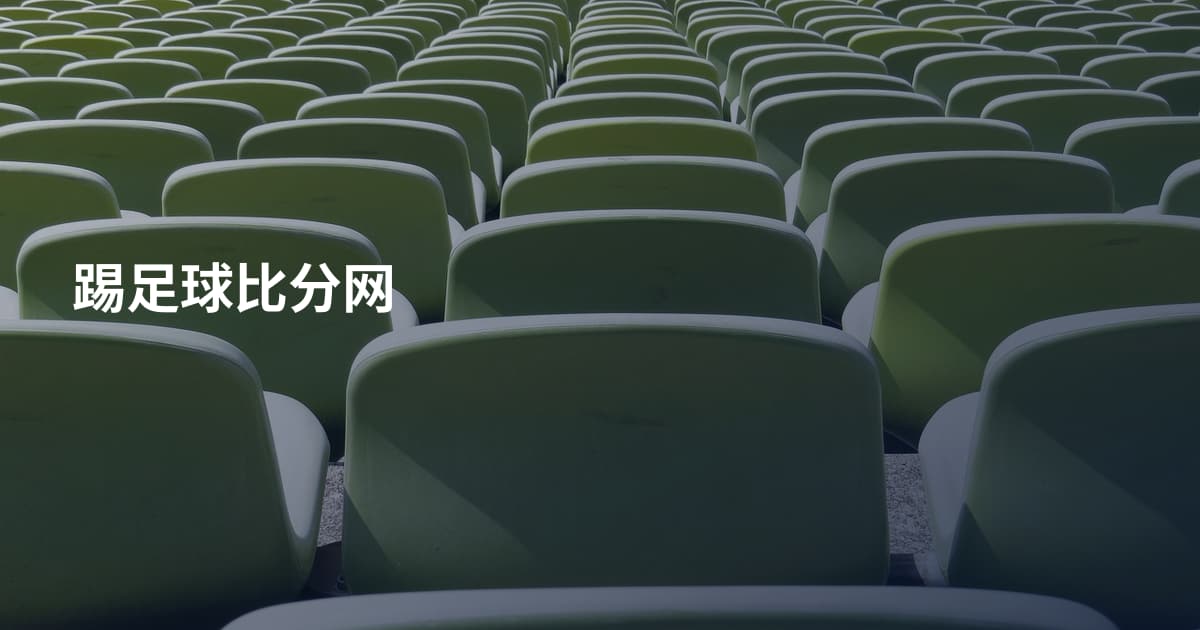 踢足球比分网