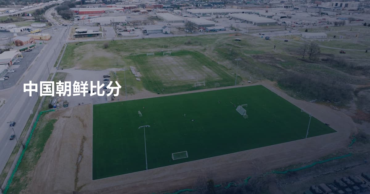 中国朝鲜比分