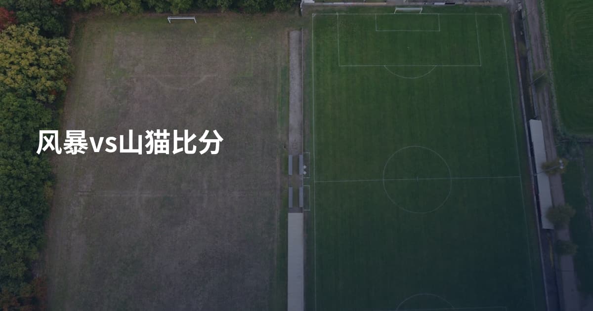 风暴vs山猫比分