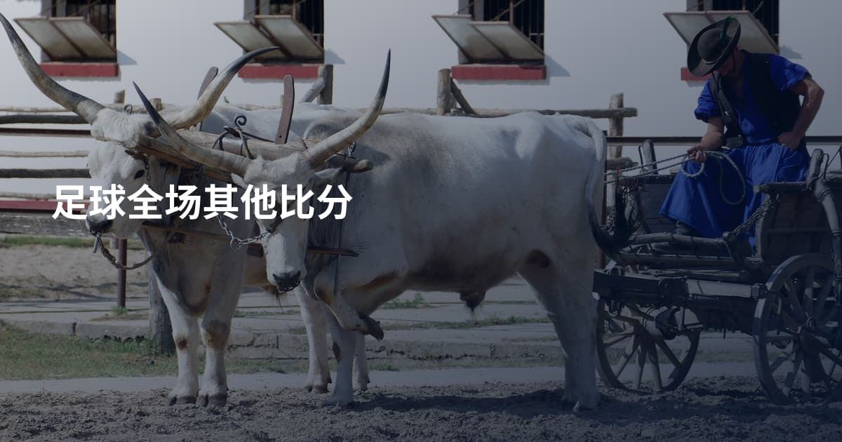 足球全场其他比分
