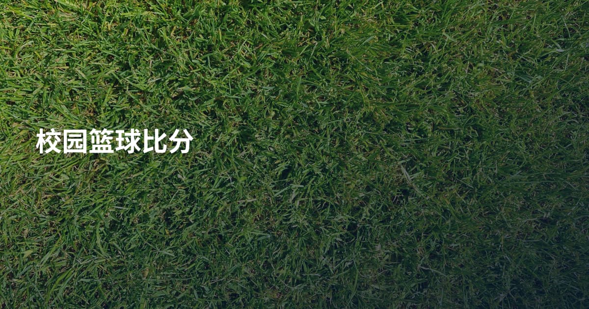 校园篮球比分
