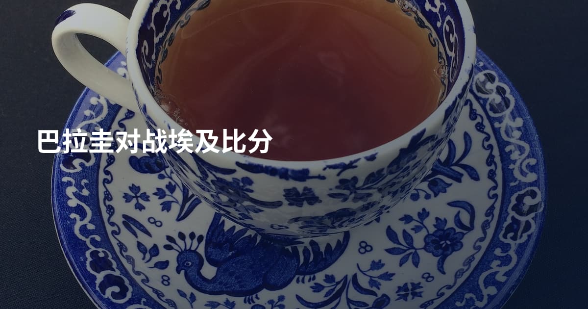 巴拉圭对战埃及比分
