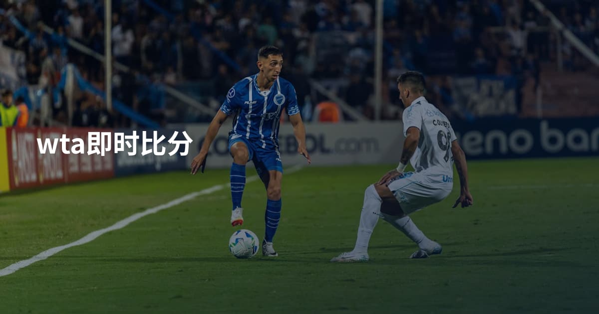 wta即时比分