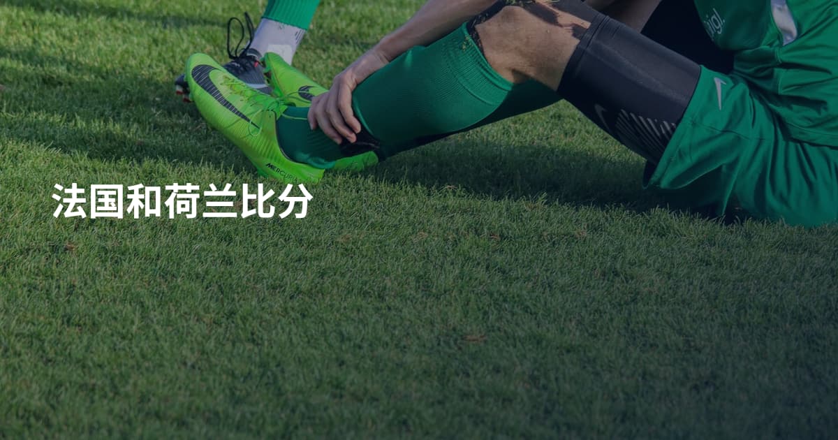法国和荷兰比分