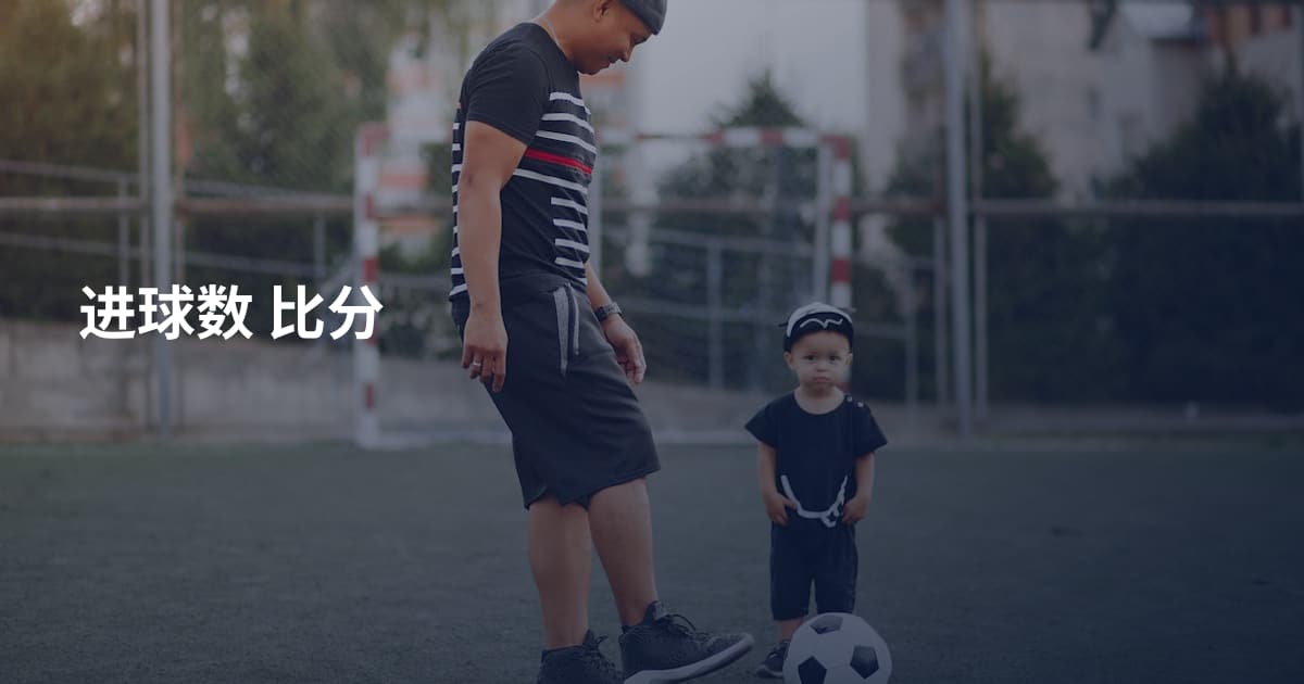 进球数 比分